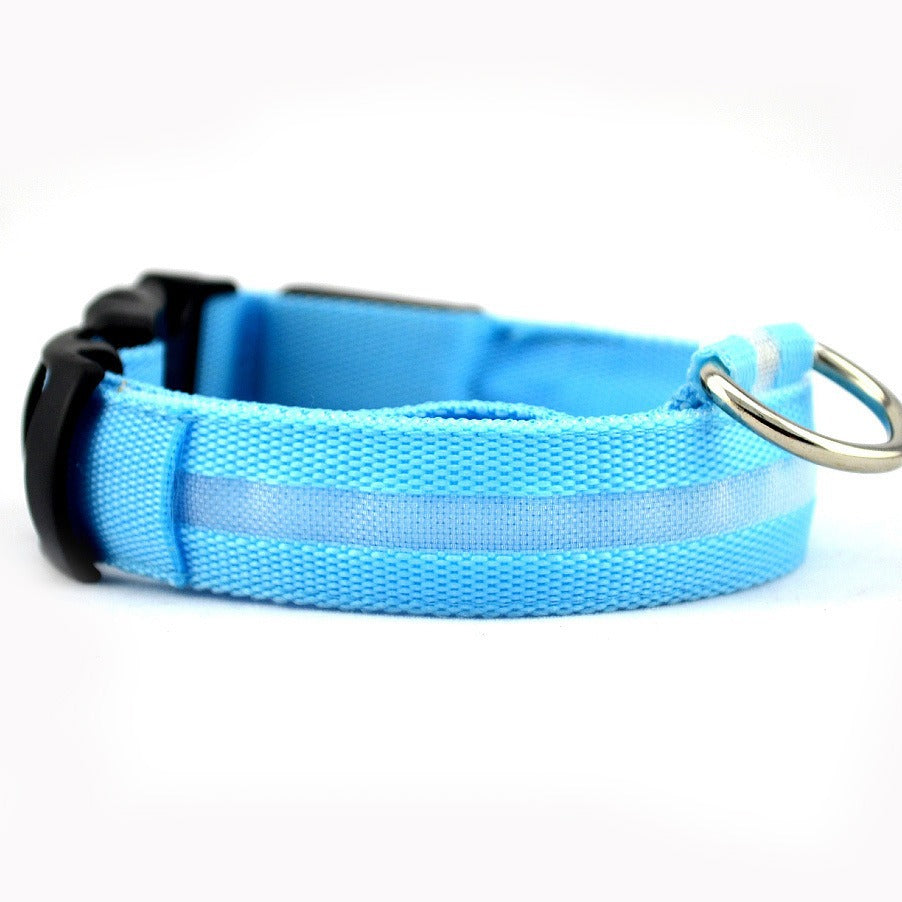 Dog glowing collar