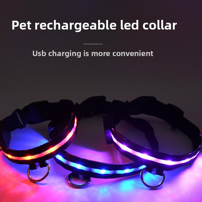 Dog glowing collar