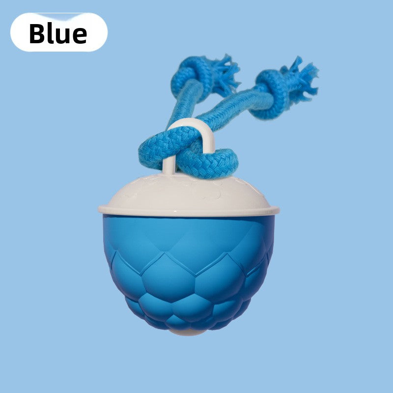 Interactive Smart Dog Toy Ball