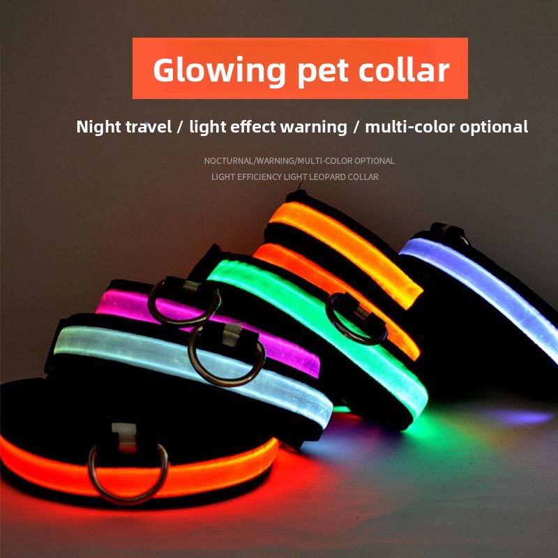 Dog glowing collar