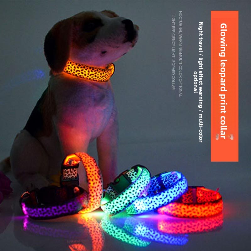 Dog glowing collar