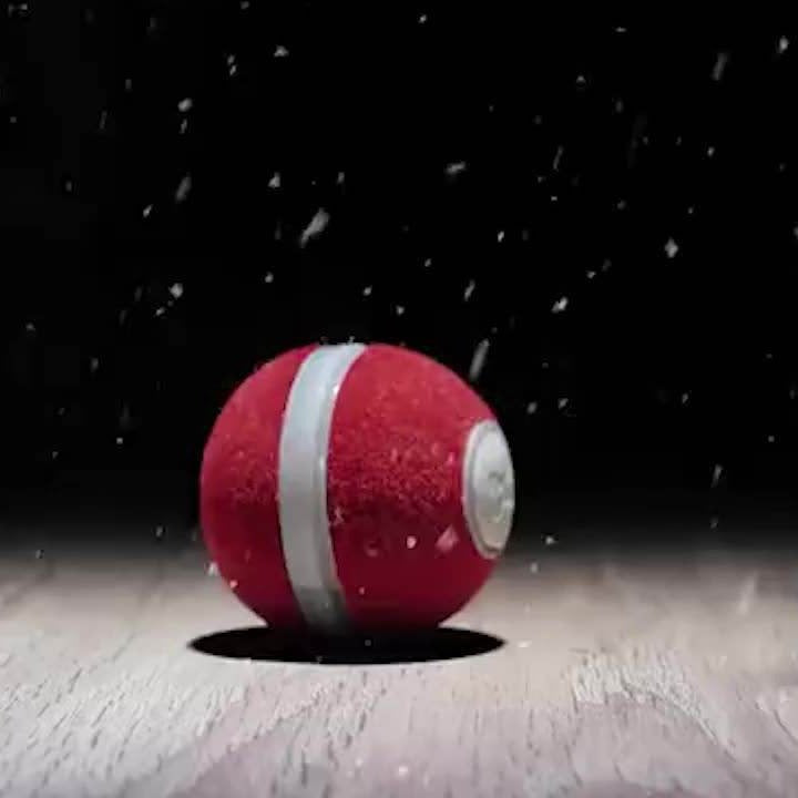 Intelligent cat teasing toy