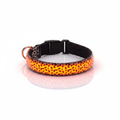 LED Dog Collar for Night Walks – Glowing Safety Collar in 5 Sizes & 7 Colors