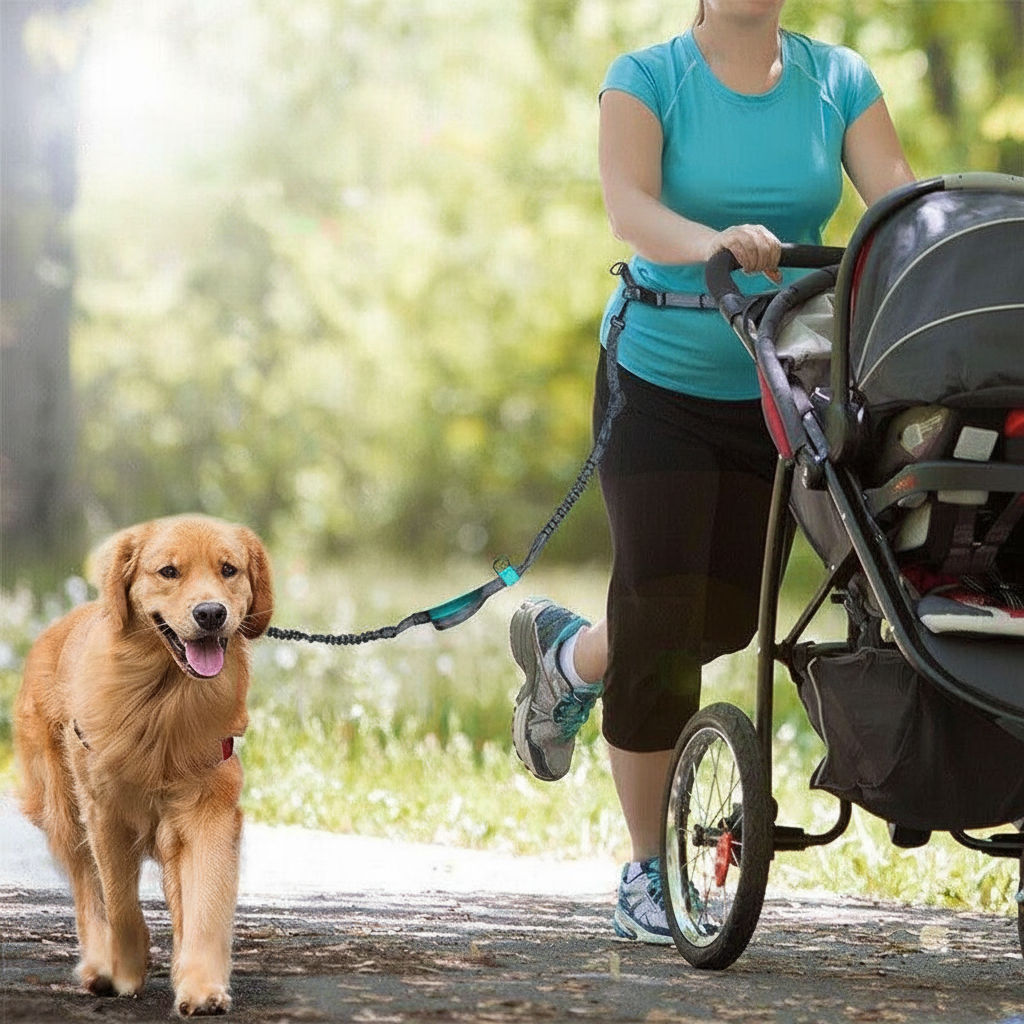 Hands-Free Dog Running Leash with Waist Belt – Retractable Leash for Jogging & Hiking